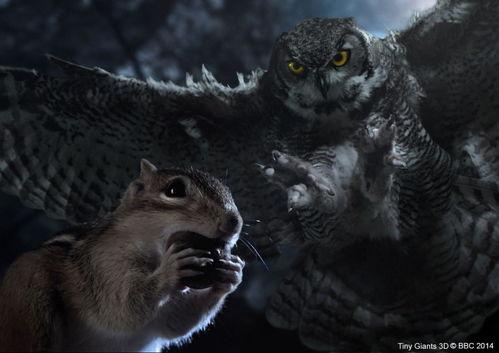 小巨人 3D,探索未来科技与奇幻世界的完美融合