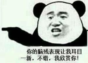 断网后我就是神,揭秘断网后的神秘力量